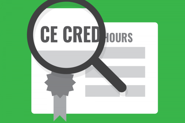 Continuing education audit