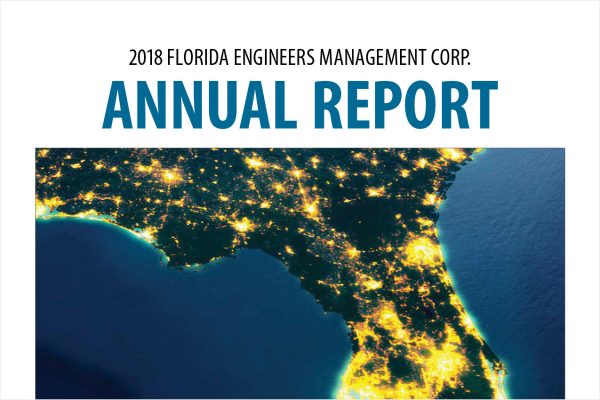 FEMC Annual Report 2018